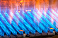 Fockerby gas fired boilers